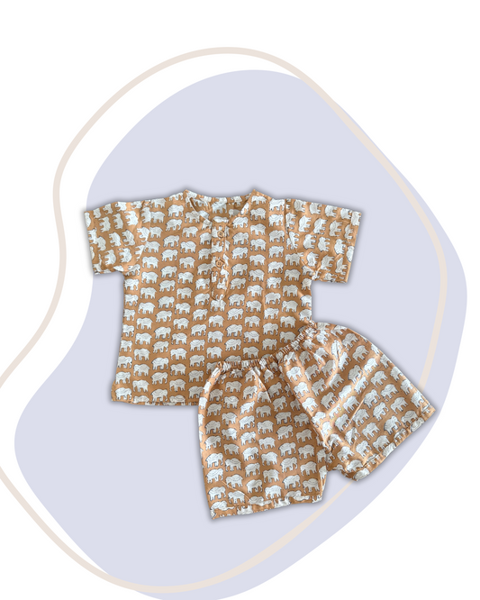Elephant Print Co-ord Set