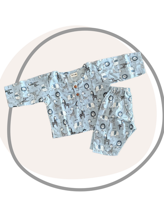 Animal Print Co-ord Set